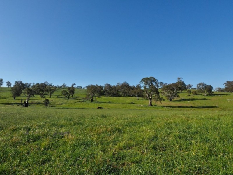 Lot 18, 299 Collins Road, Tungkillo SA 5236