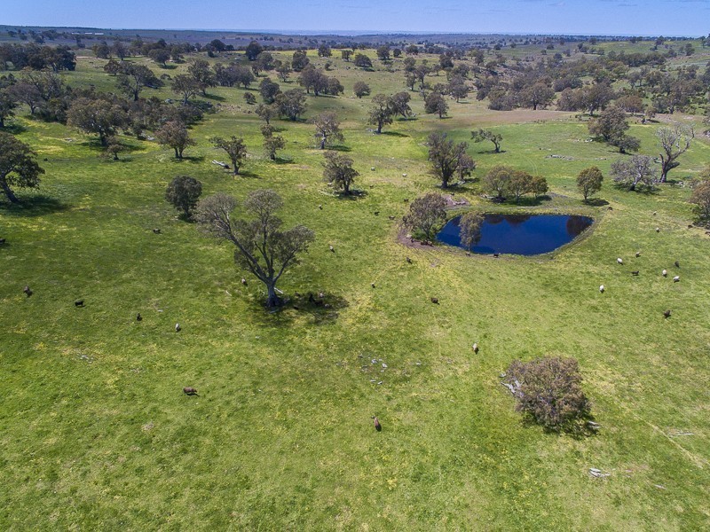 Lot 18, 299 Collins Road, Tungkillo SA 5236