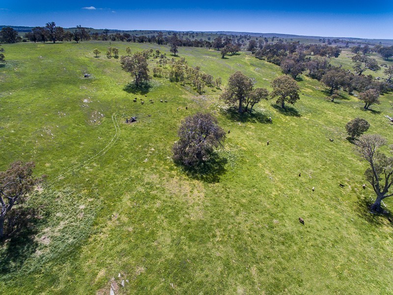 Lot 18, 299 Collins Road, Tungkillo SA 5236