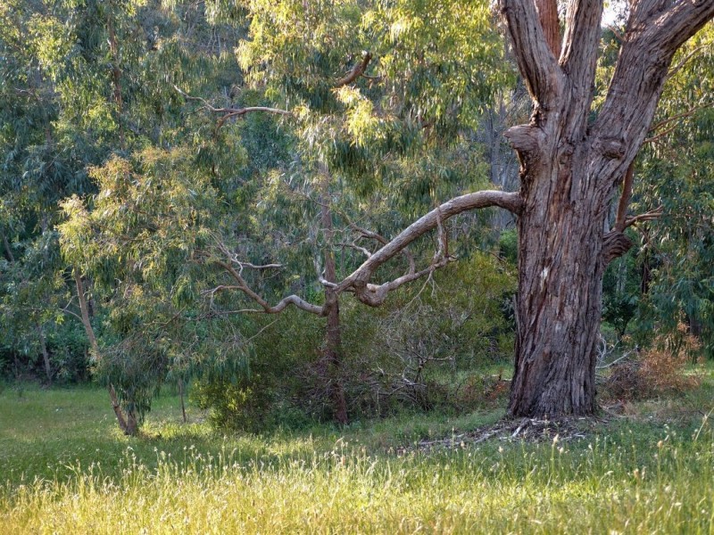 251 Pole Road, Ironbank SA 5153