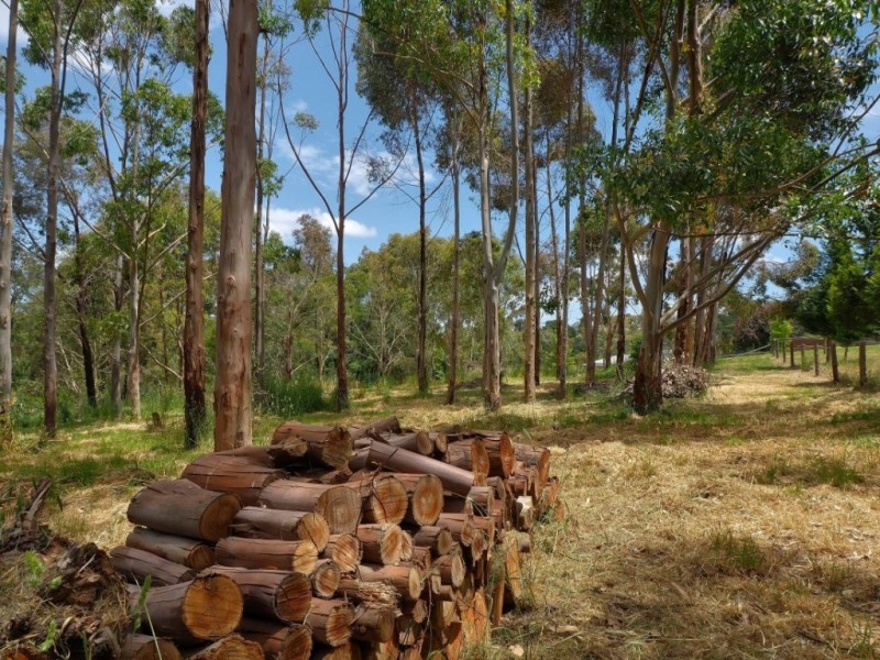 52 Fulford Terrace, Littlehampton SA 5250