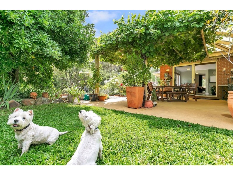 53 Onkaparinga Valley Road, Balhannah SA 5242