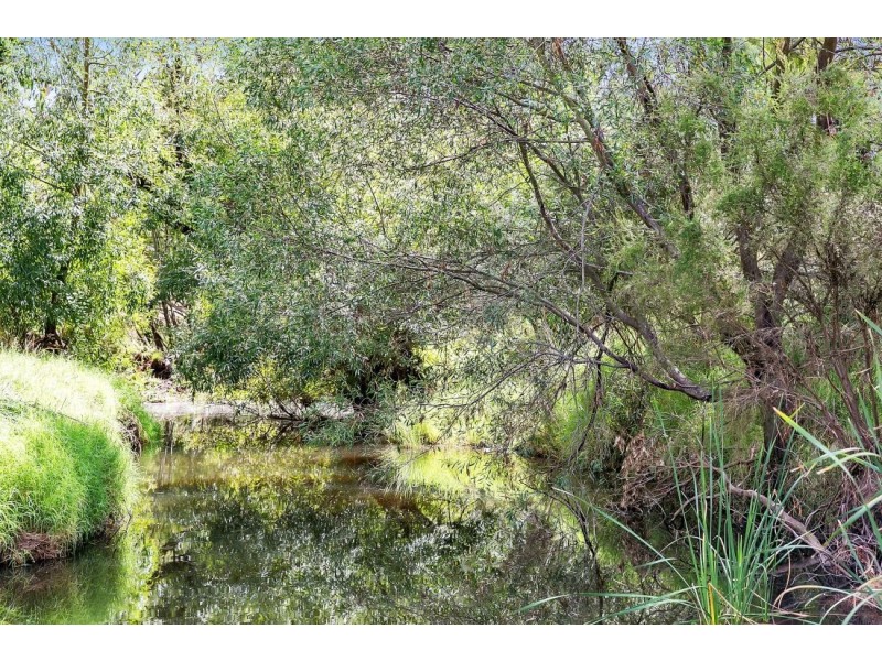 5 Angas Creek Road, Birdwood SA 5234