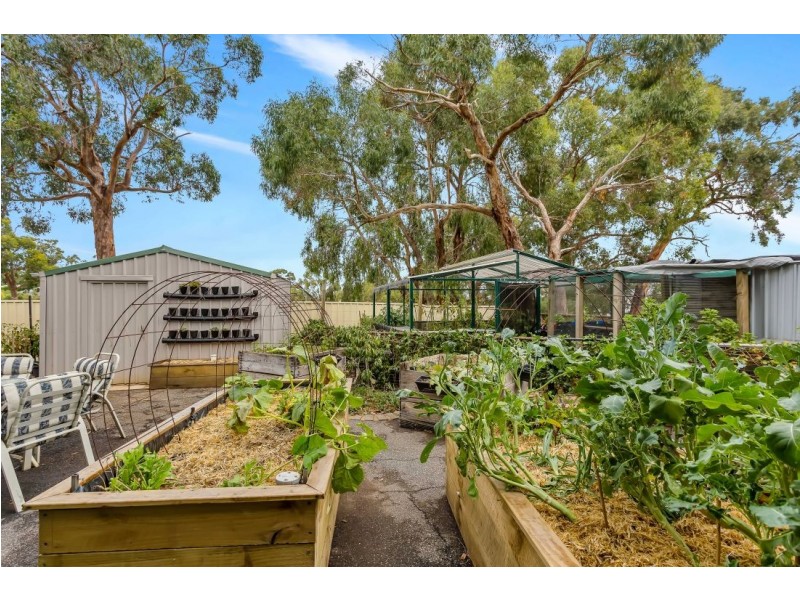 13 Allendale Grove, Woodside SA 5244