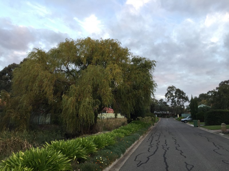 5/35 Alexandrina Road, Mount Barker SA 5251