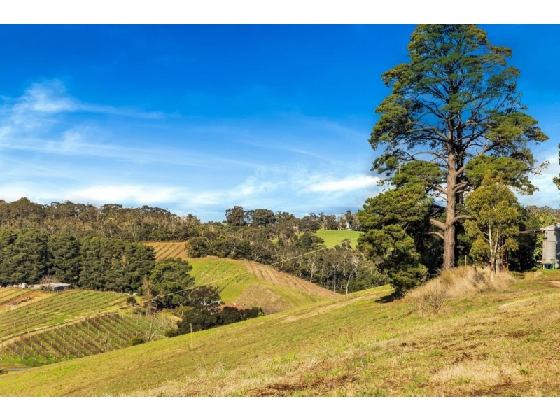 1551B Lobethal Road, Lenswood SA 5240