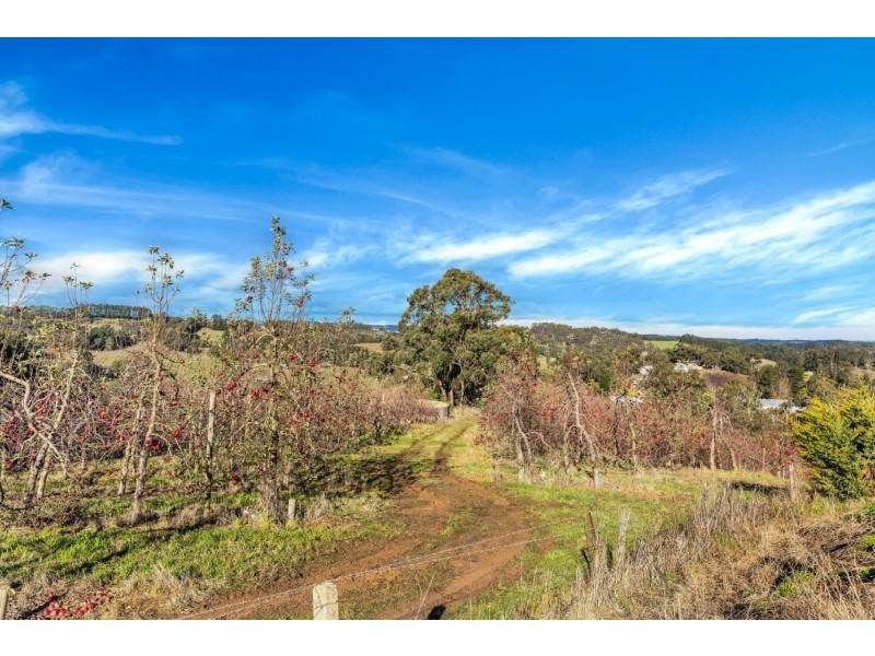 1551B Lobethal Road, Lenswood SA 5240