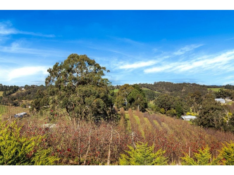 1551B Lobethal Road, Lenswood SA 5240