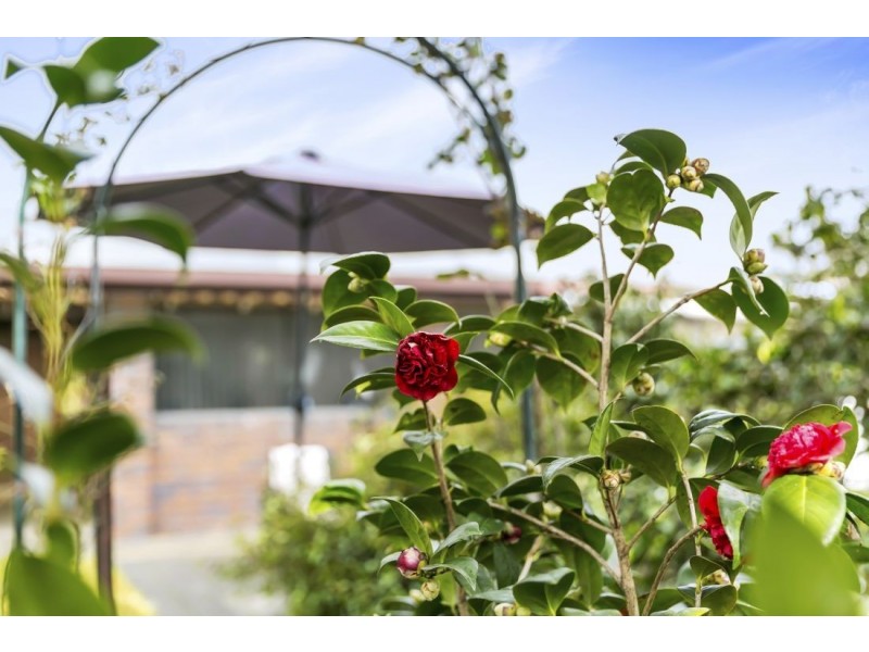 14 Darkana Road, Balhannah SA 5242