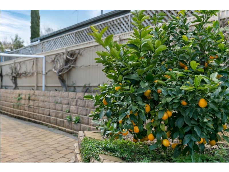 10 Miels Avenue, Littlehampton SA 5250