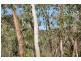 Lot 48, 227 Upper Sturt Road, Upper Sturt SA 5156