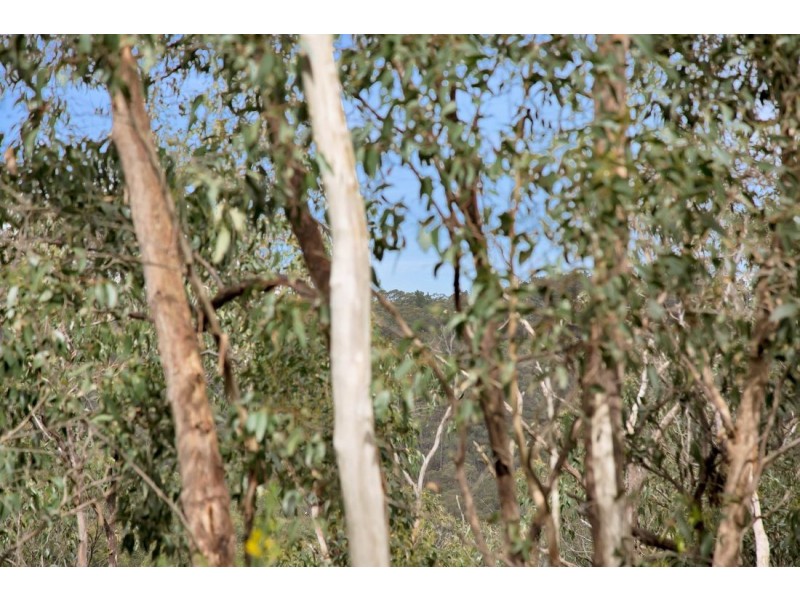 Lot 48, 227 Upper Sturt Road, Upper Sturt SA 5156