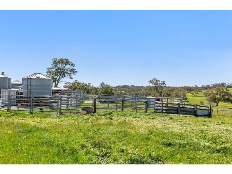 147A &147B Sheoak Hill Road, Mount Torrens SA 5244