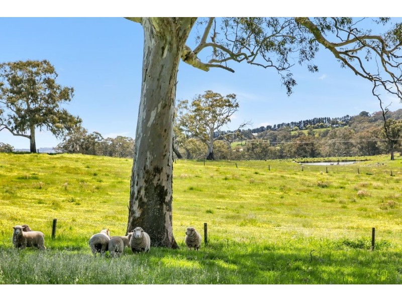147A &147B Sheoak Hill Road, Mount Torrens SA 5244