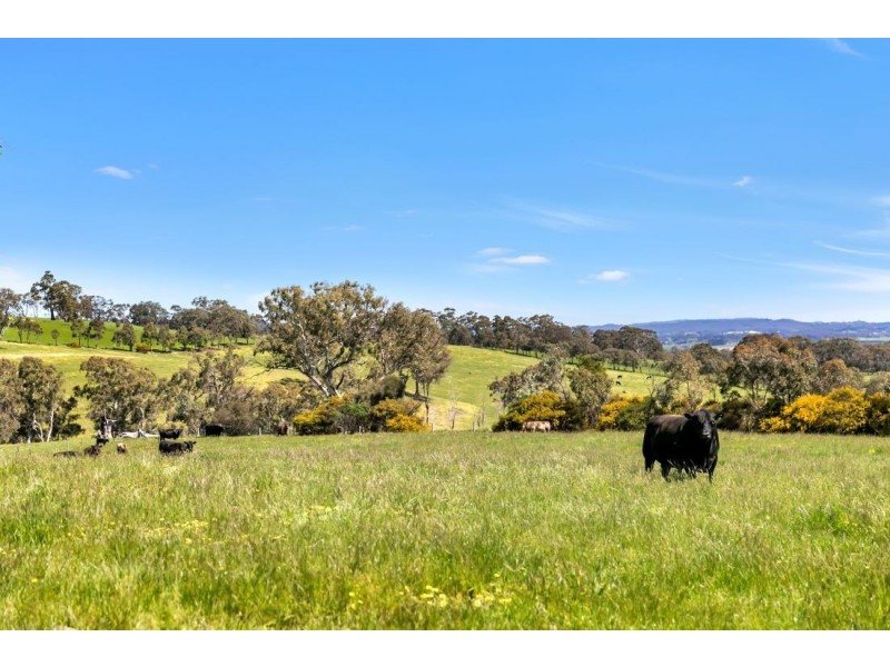 147A &147B Sheoak Hill Road, Mount Torrens SA 5244
