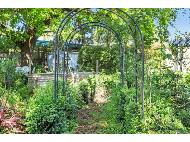 31 Newman Road, Charleston SA 5244