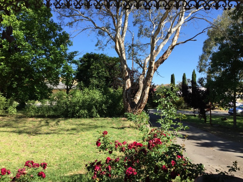 12 Hawthorn Street, Dawesley SA 5252