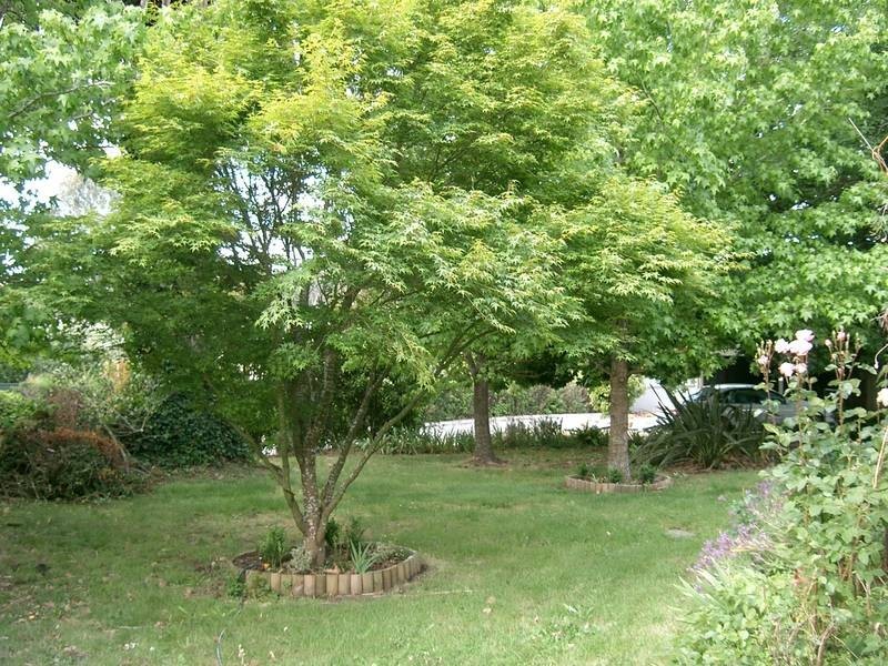 15 Junction Road, Balhannah SA 5242