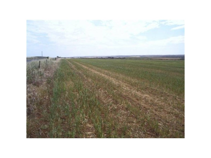 Lot 50, 51 52 Strathalbyn Road, Callington SA 5254