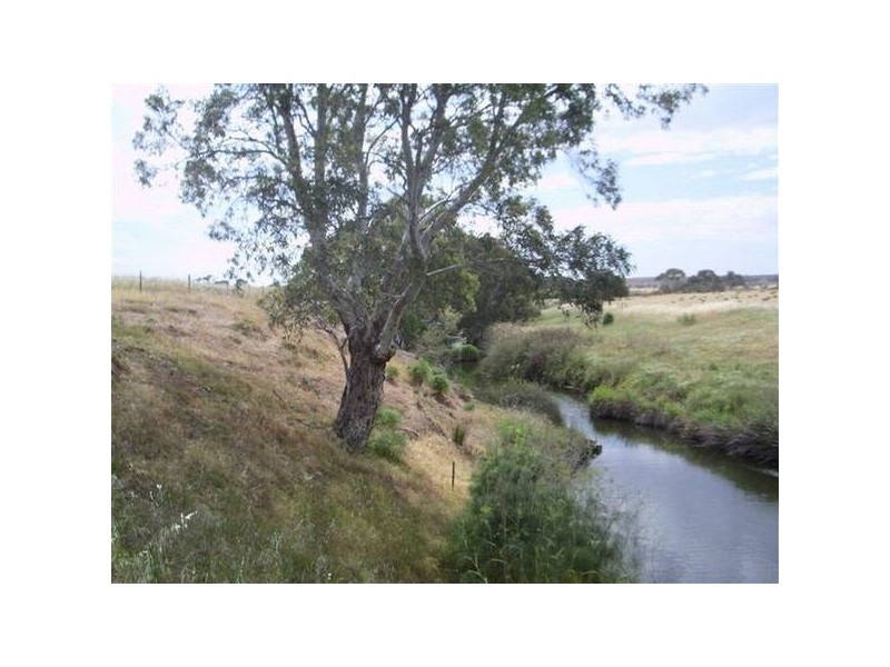 Lot 50, 51 52 Strathalbyn Road, Callington SA 5254
