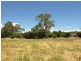 Lot 202, 90A Onkaparinga Valley Road, Balhannah SA 5242