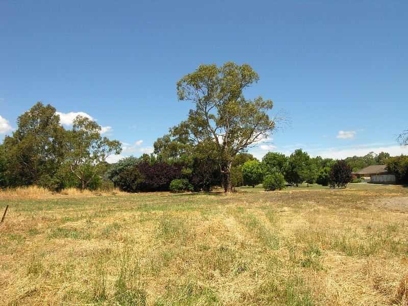 Lot 202, 90A Onkaparinga Valley Road, Balhannah SA 5242
