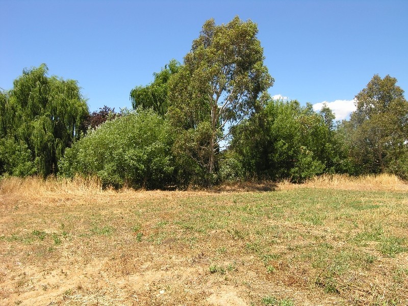 Lot 202, 90A Onkaparinga Valley Road, Balhannah SA 5242