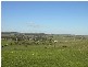 12 Back Callington Road, Callington SA 5254