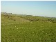 12 Back Callington Road, Callington SA 5254