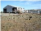 12 Back Callington Road, Callington SA 5254
