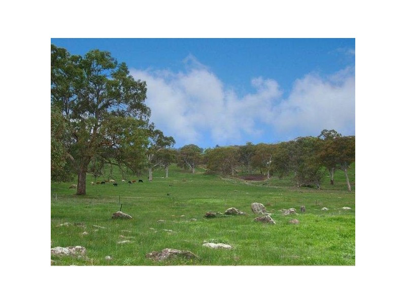 Lot 114 Military Road, Woodside SA 5244