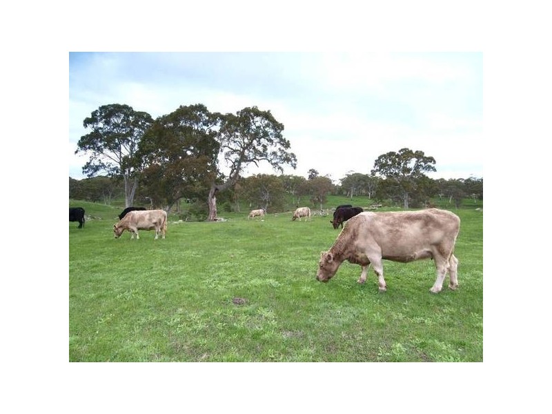 Lot 114 Military Road, Woodside SA 5244