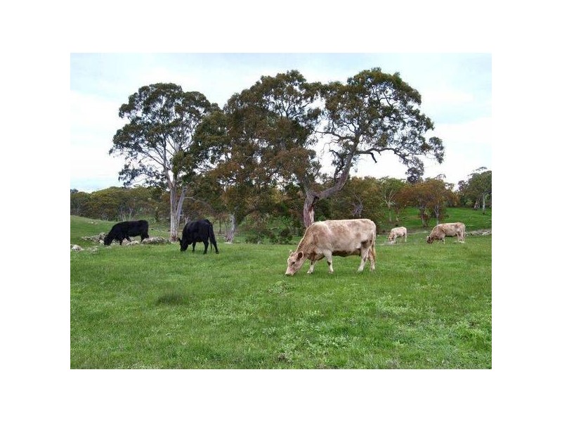 Lot 114 Military Road, Woodside SA 5244