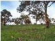Lot 114 Military Road, Woodside SA 5244