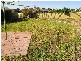 13 Darkana Road, Balhannah SA 5242