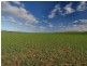 Lot 54 Strathalbyn Road, Callington SA 5254