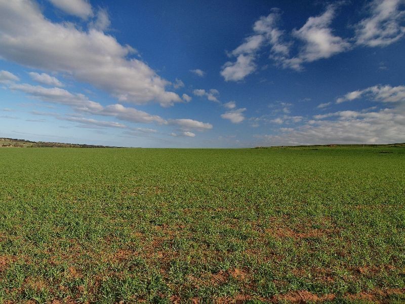 Lot 54 Strathalbyn Road, Callington SA 5254