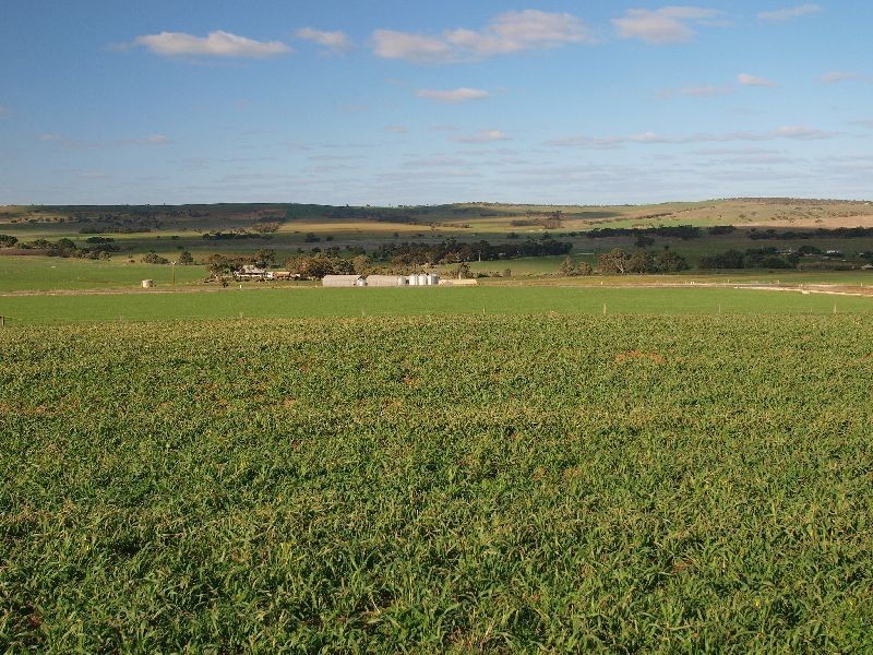 Lot 54 Strathalbyn Road, Callington SA 5254