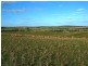 Lot 54 Strathalbyn Road, Callington SA 5254