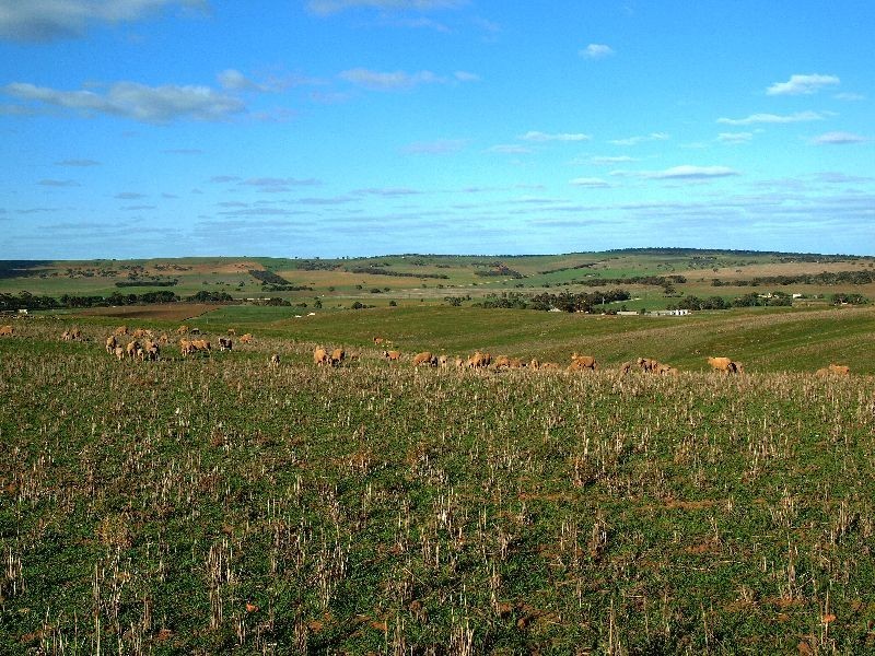 Lot 54 Strathalbyn Road, Callington SA 5254
