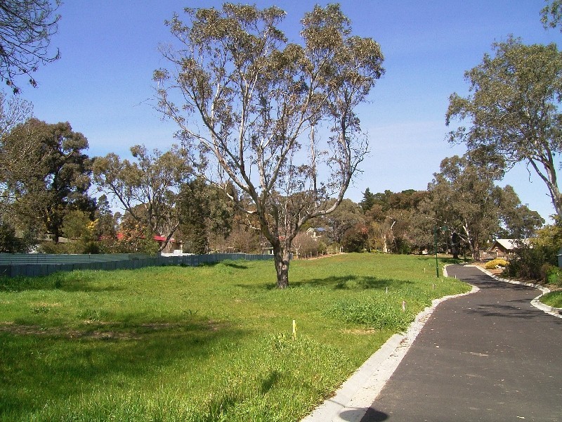 Lot 742 Tolmer Road, Woodside SA 5244