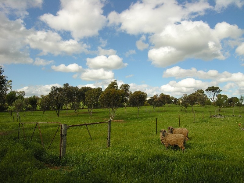 Lot 12 Hallett Street, Callington SA 5254