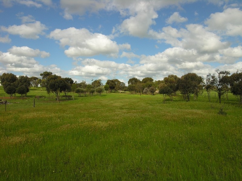 Lot 12 Hallett Street, Callington SA 5254