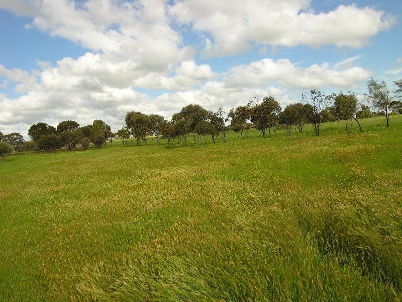 Lot 12 Hallett Street, Callington SA 5254