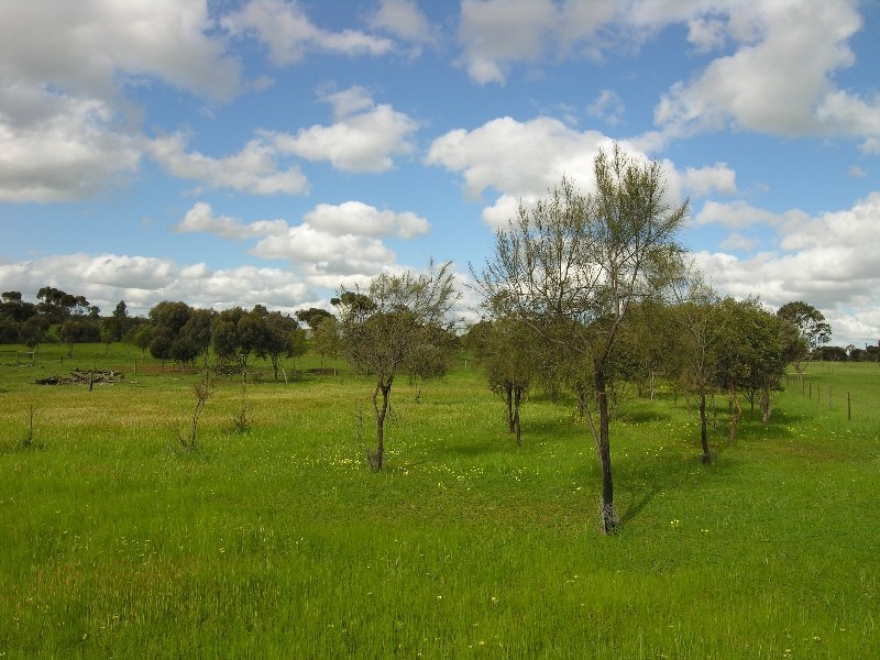 Lot 12 Hallett Street, Callington SA 5254