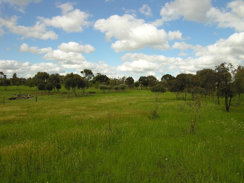 Lot 12 Hallett Street, Callington SA 5254