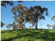 Lot 12 Fisher Road, Hahndorf SA 5245