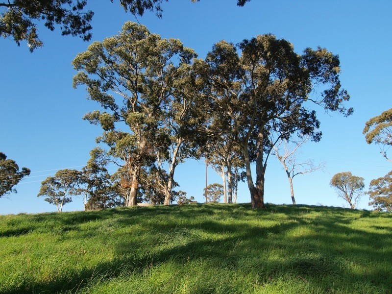 Lot 12 Fisher Road, Hahndorf SA 5245