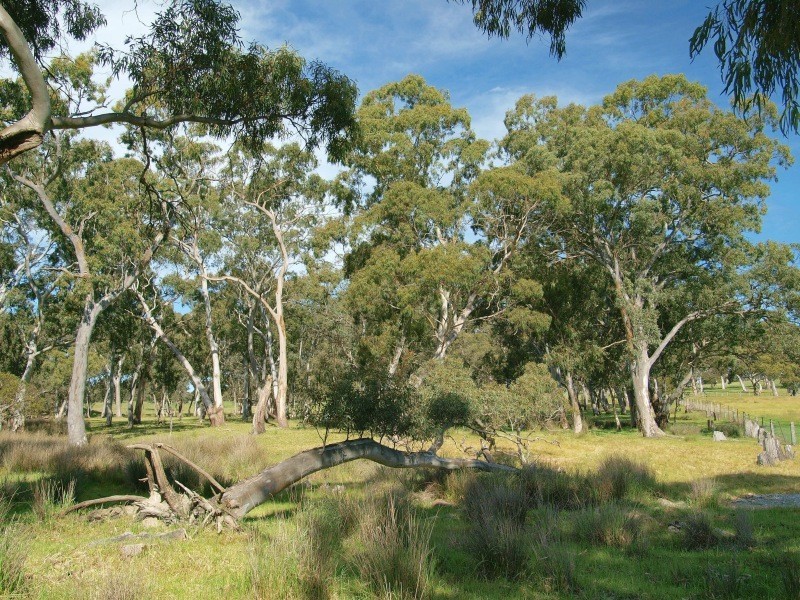 Lot 5 Warmington Run, Woodside SA 5244