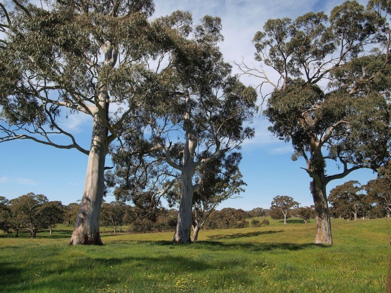 Lot 5 Warmington Run, Woodside SA 5244